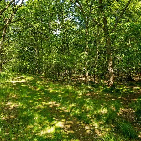 Casa vacanze 4 Person In *